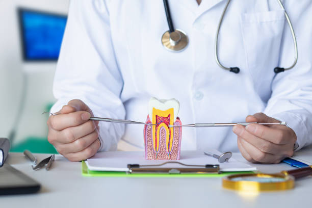 Best Emergency Root Canal Therapy in Union City, TN